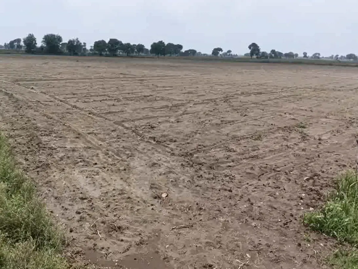 Pratapgarh Weather Update