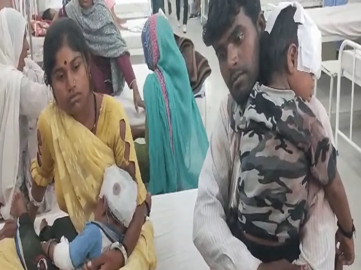 Alwar Dog Attack