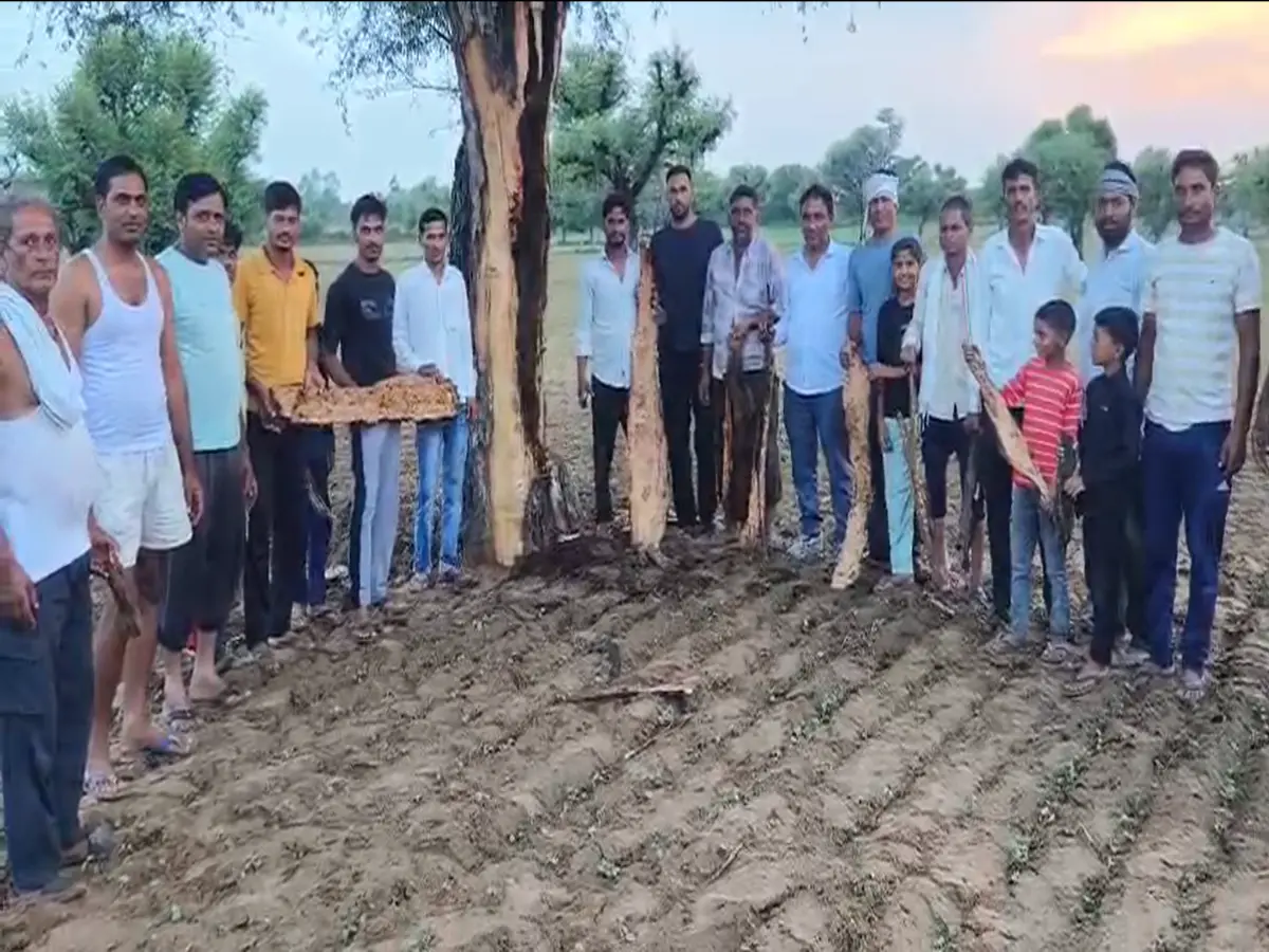 Sikar News: बिजली नहीं मौत बनकर गिरी थी आसमान से, किसान का उजड़ गया घर-संसार!