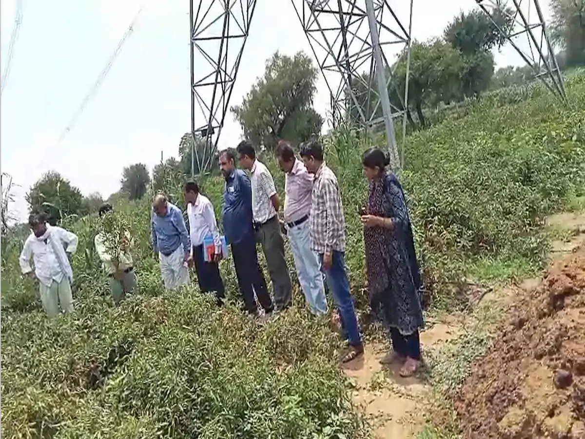 Sikar News: कृषि मंत्री से शिकायत के बाद हरकत में आया विभाग, फसल का जायजा लेने पहुंची टीम Sikar News: कृषि मंत्री से शिकायत के बाद हरकत में आया विभाग, फसल का जायजा लेने पहुंची टीम