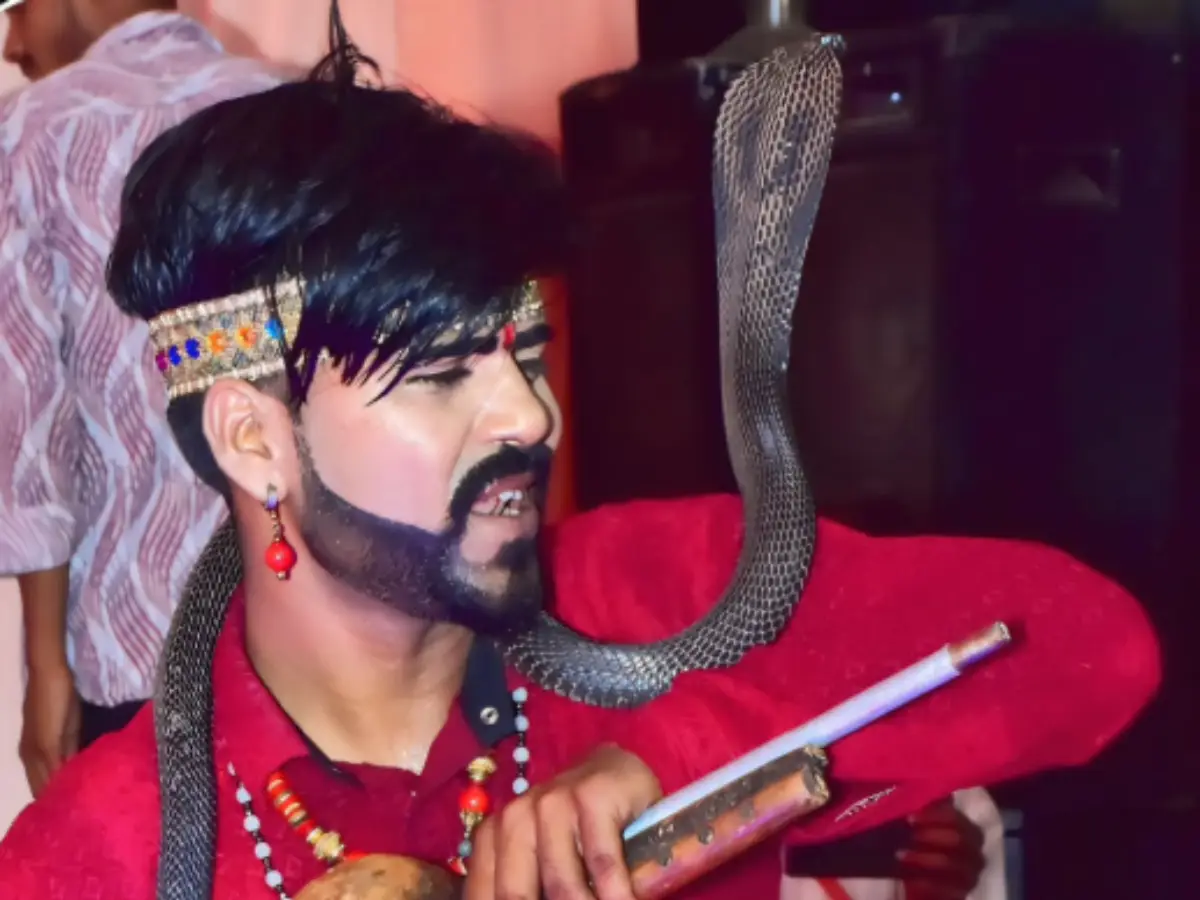 Rajasthan Viral Video