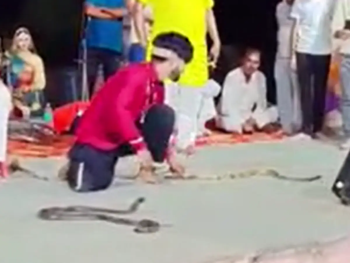 Rajasthan Viral Video