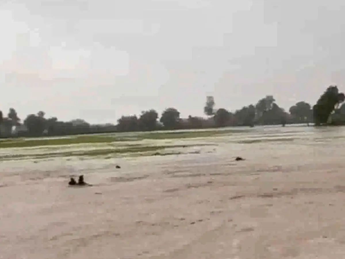 Rajasthan Weather