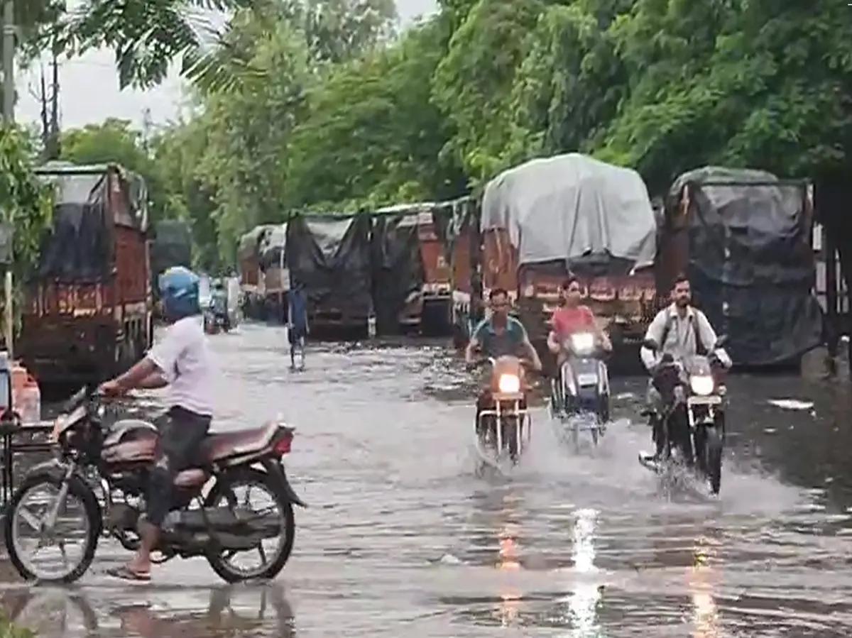 Alwar Weather Update: बादलों के कहर से शहर जलमग्न, प्रशासन की लापरवाही से जनता बेहाल Alwar Weather Update: बादलों के कहर से शहर जलमग्न, प्रशासन की लापरवाही से जनता बेहाल
