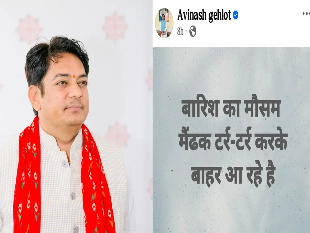 Rajasthan Politics: 'मेंढकों की टर्र-टर्र' पर तकरार! अविनाश गहलोत की पोस्ट से चढ़ा सियासी पारा