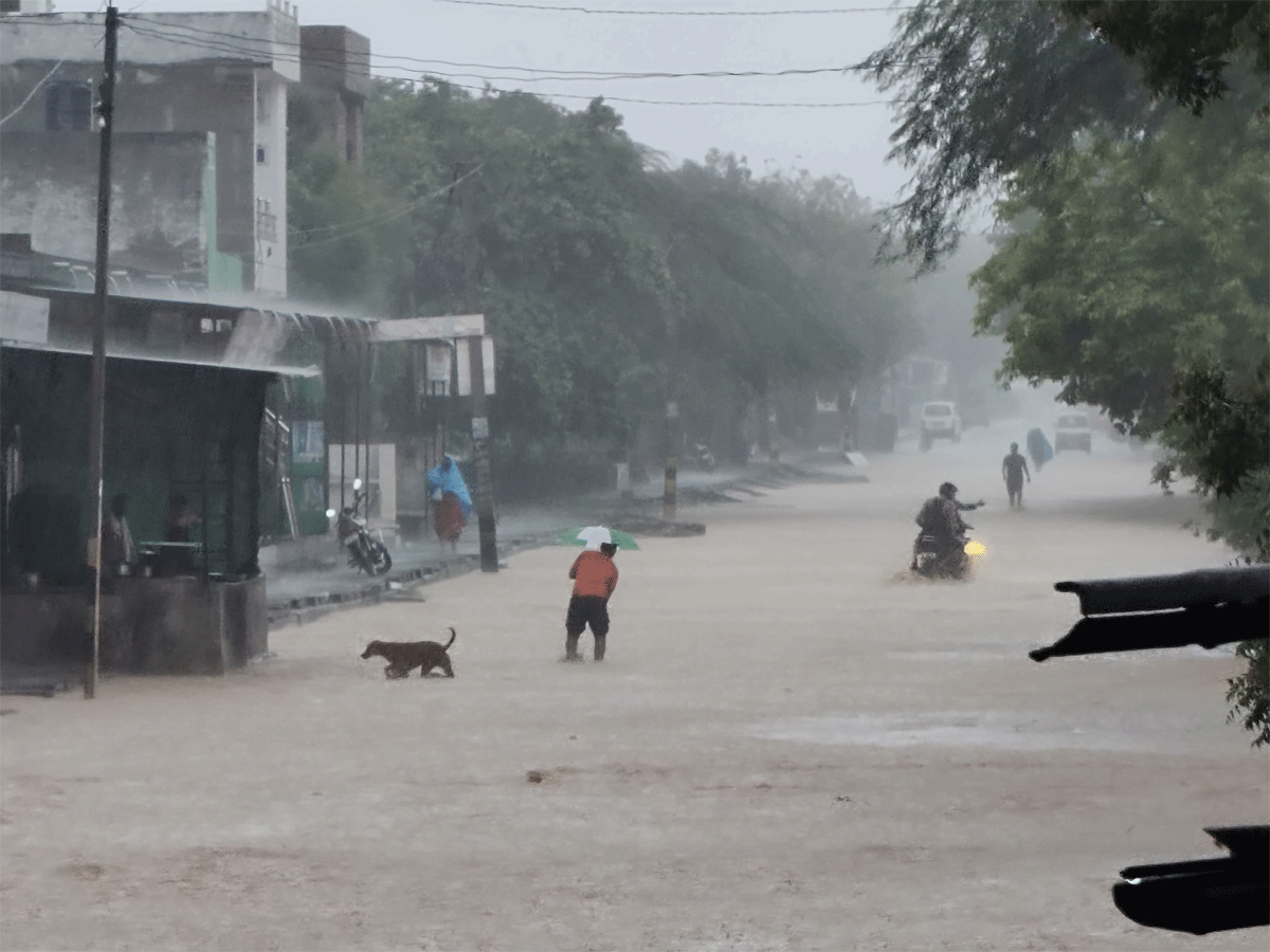 सवाईमाधोपुर में भयंकर बारिश, NH 552 पर भरा पानी, कई गांवों से संपर्क कटा सवाईमाधोपुर में भयंकर बारिश, NH 552 पर भरा पानी, कई गांवों से संपर्क कटा