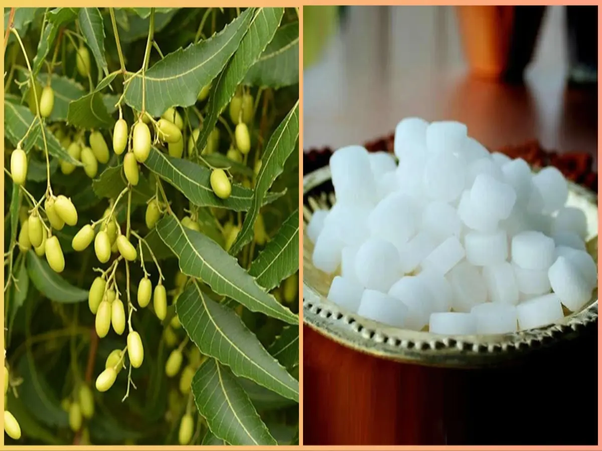 नीम, कपूर और अजवाइन