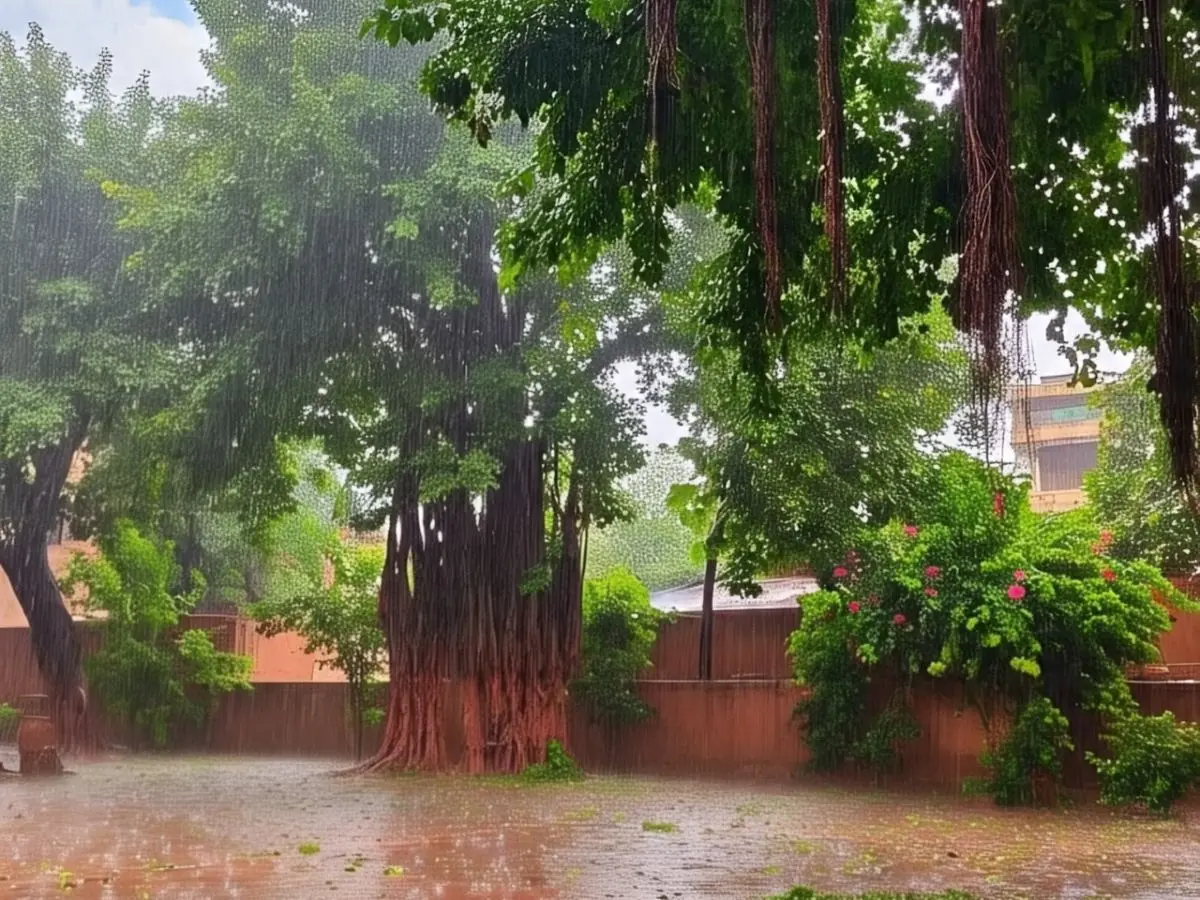 Rajasthan Weather Update