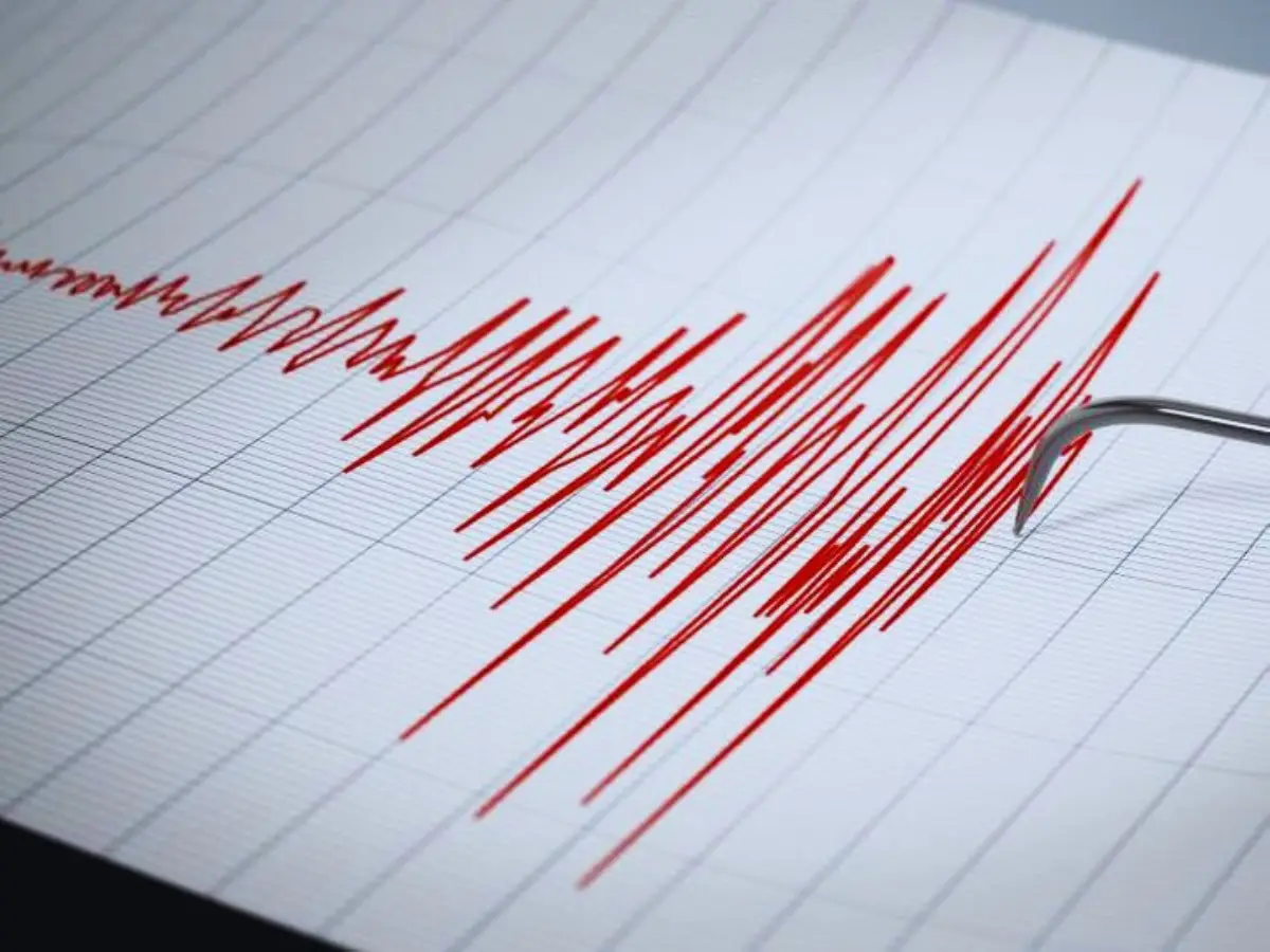 EarthQuake Precautions: भूकंप आने पर कैसे करें अपनी और परिवार की सुरक्षा, NDRF ने बताई कैसे बच सकती है जान