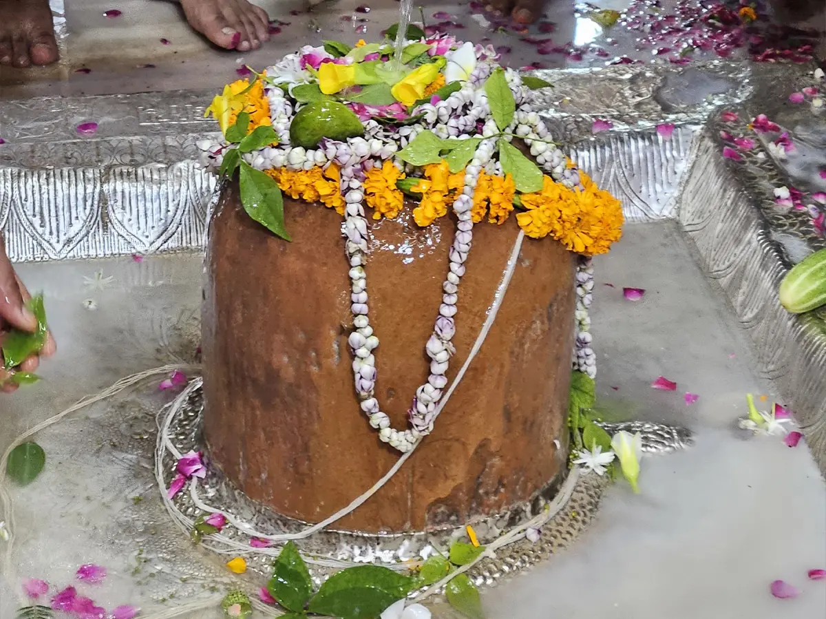 Sawan 2025: जयपुर के झारखंड महादेव में बम-बम भोले के जयघोष की गूंज, भक्तों की जुटी भीड़ Sawan 2025: जयपुर के झारखंड महादेव में बम-बम भोले के जयघोष की गूंज, भक्तों की जुटी भीड़