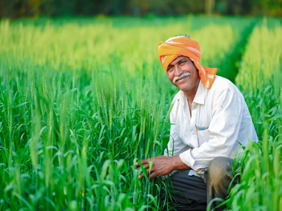 किसानों के लिए बड़ी राहत! भजनलाल सरकार ने बढ़ाई ब्याज राहत योजना की अवधि