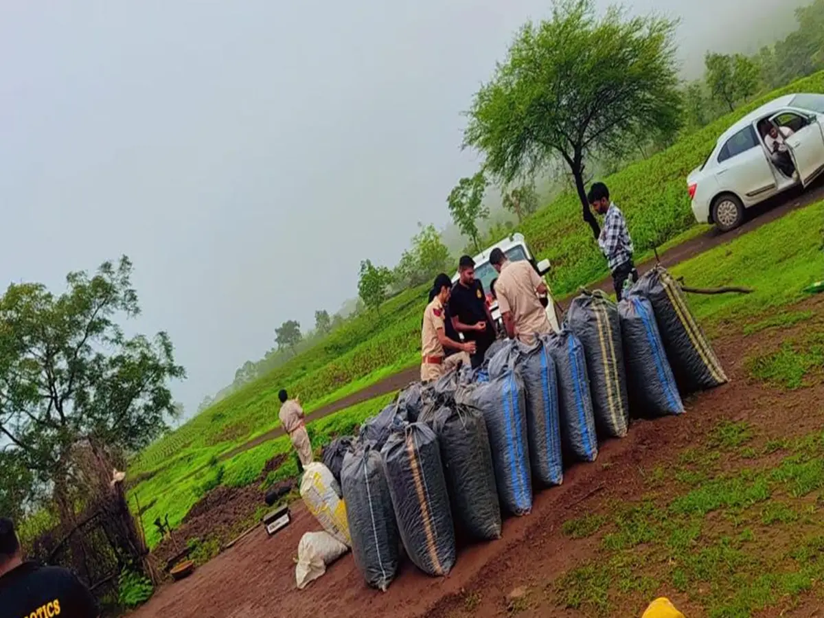 Pratapgarh News: नारकोटिक्स विभाग की बड़ी कार्रवाई, 86 लाख की डोडा चूरा बरामद