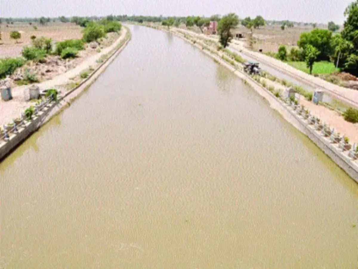 गंग कैनाल और हरा-भरा परिदृश्य