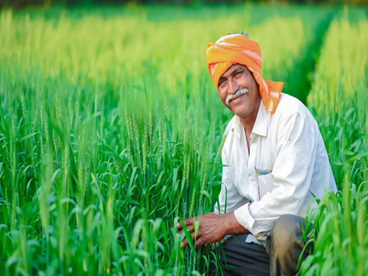 किसानों की बल्ले-बल्ले! कोटा में 3.20 करोड़ की ब्याज माफी, जानिए कैसे उठाएं फायदा