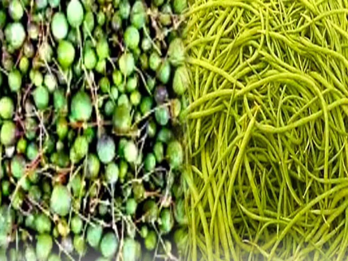 Rajasthani famous Ker Sangri