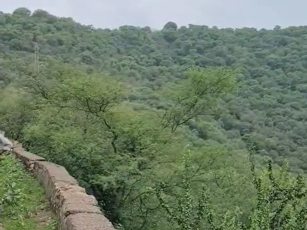 Sariska Tiger Reserve
