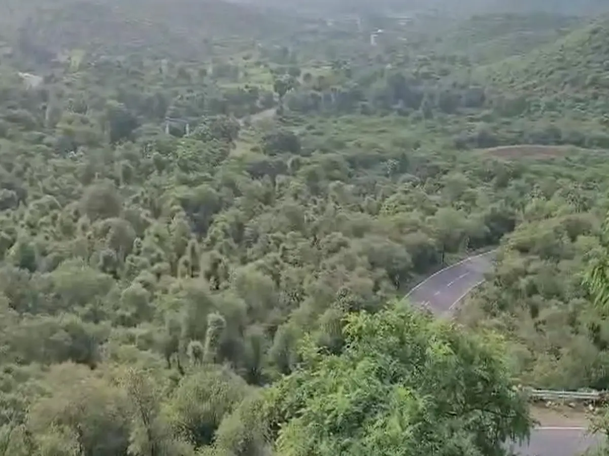 Sariska Tiger Reserve