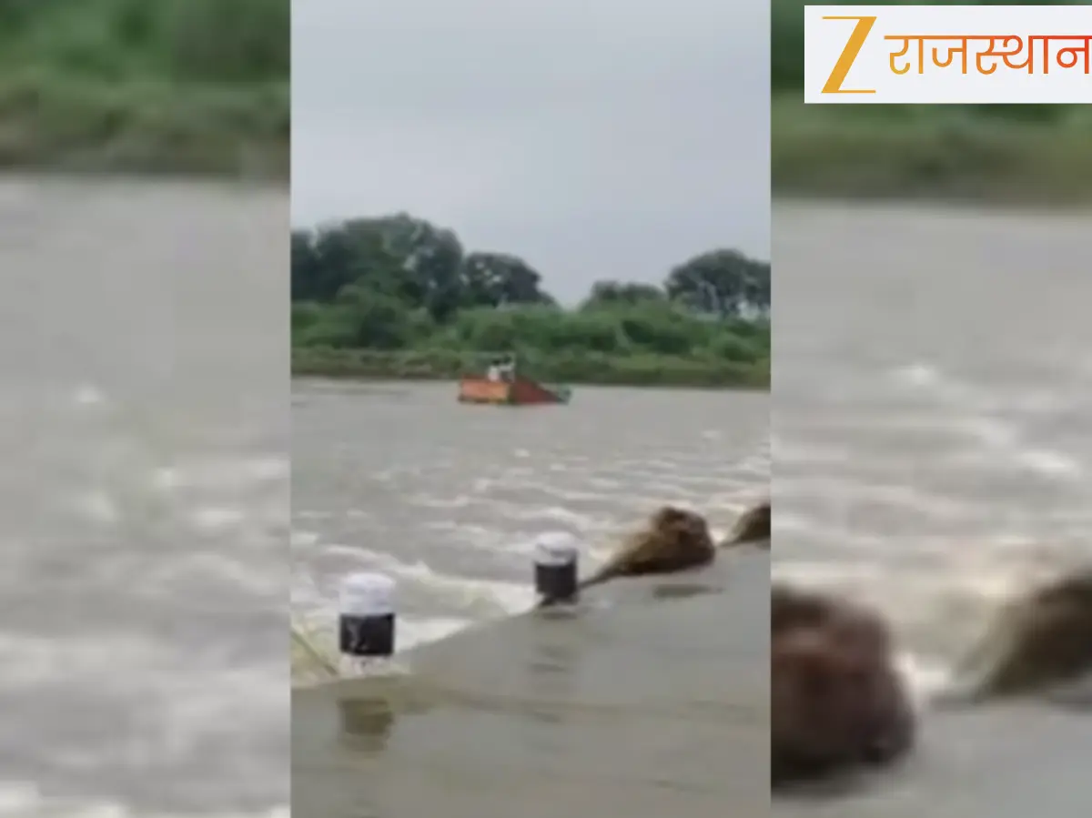 Dholpur Video: धौलपुर में पार्वती नदी का कहर, मिनी ट्रक बहने से दो की मौत की आशंका