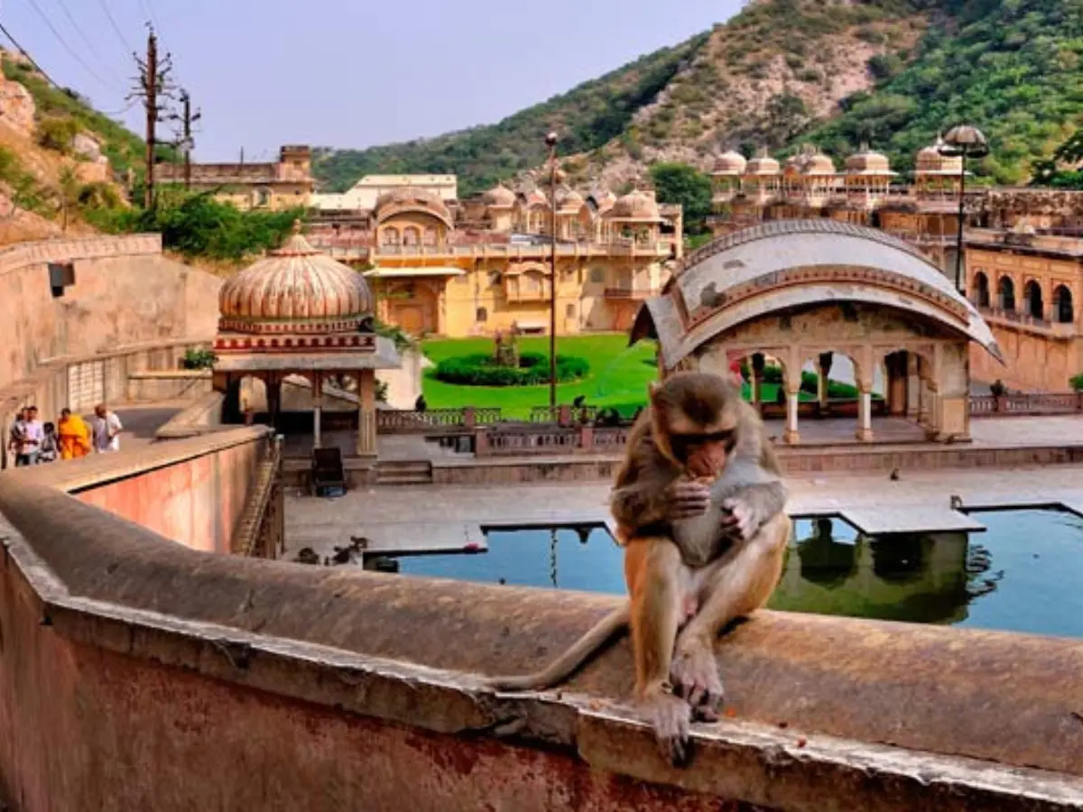 Jaipur Galtaji mandir