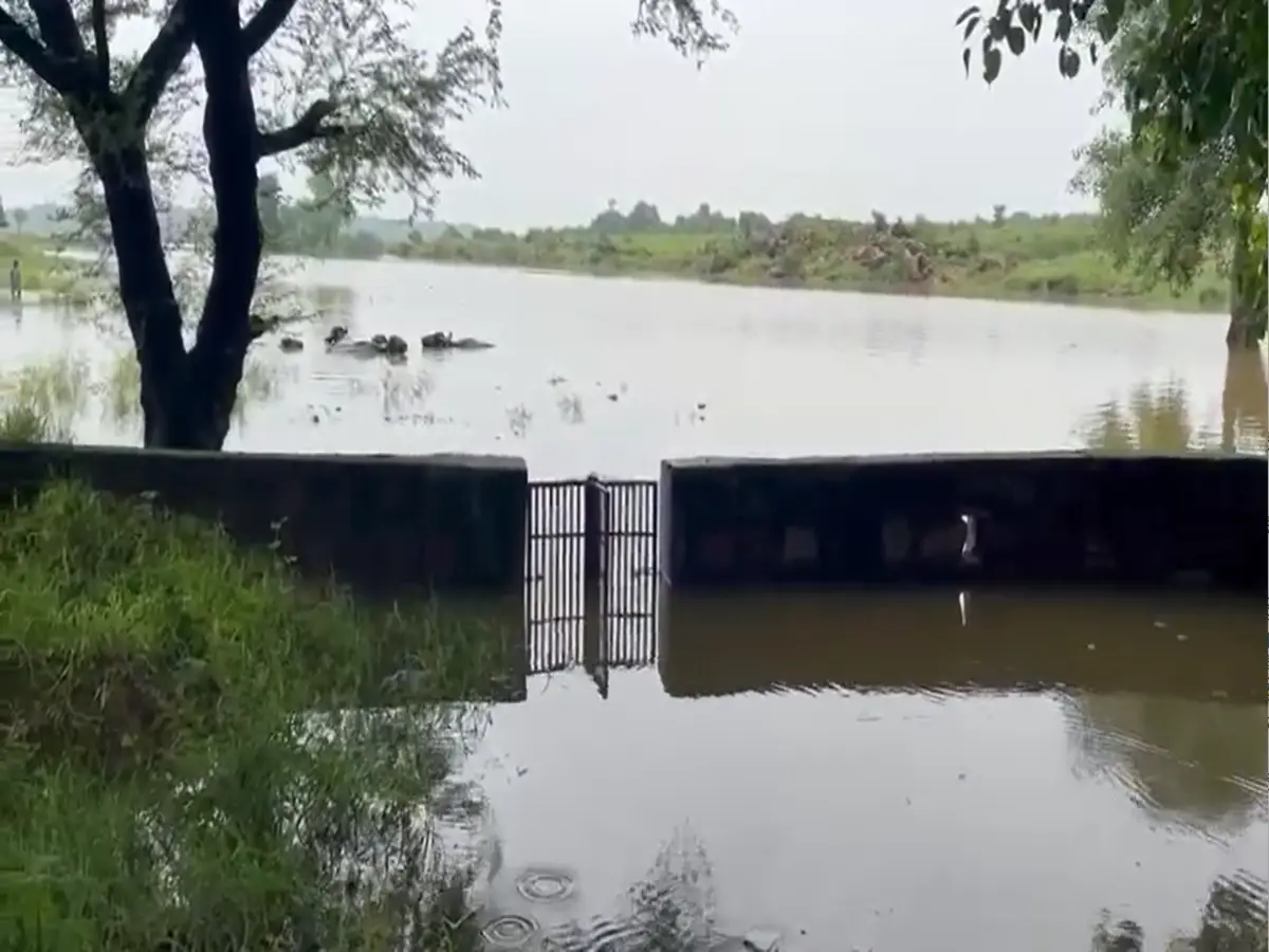 Dholpur News: चंबल का उफान बना तबाही की लहर! खेत डूबे, घर उजड़े और टूटे किसान