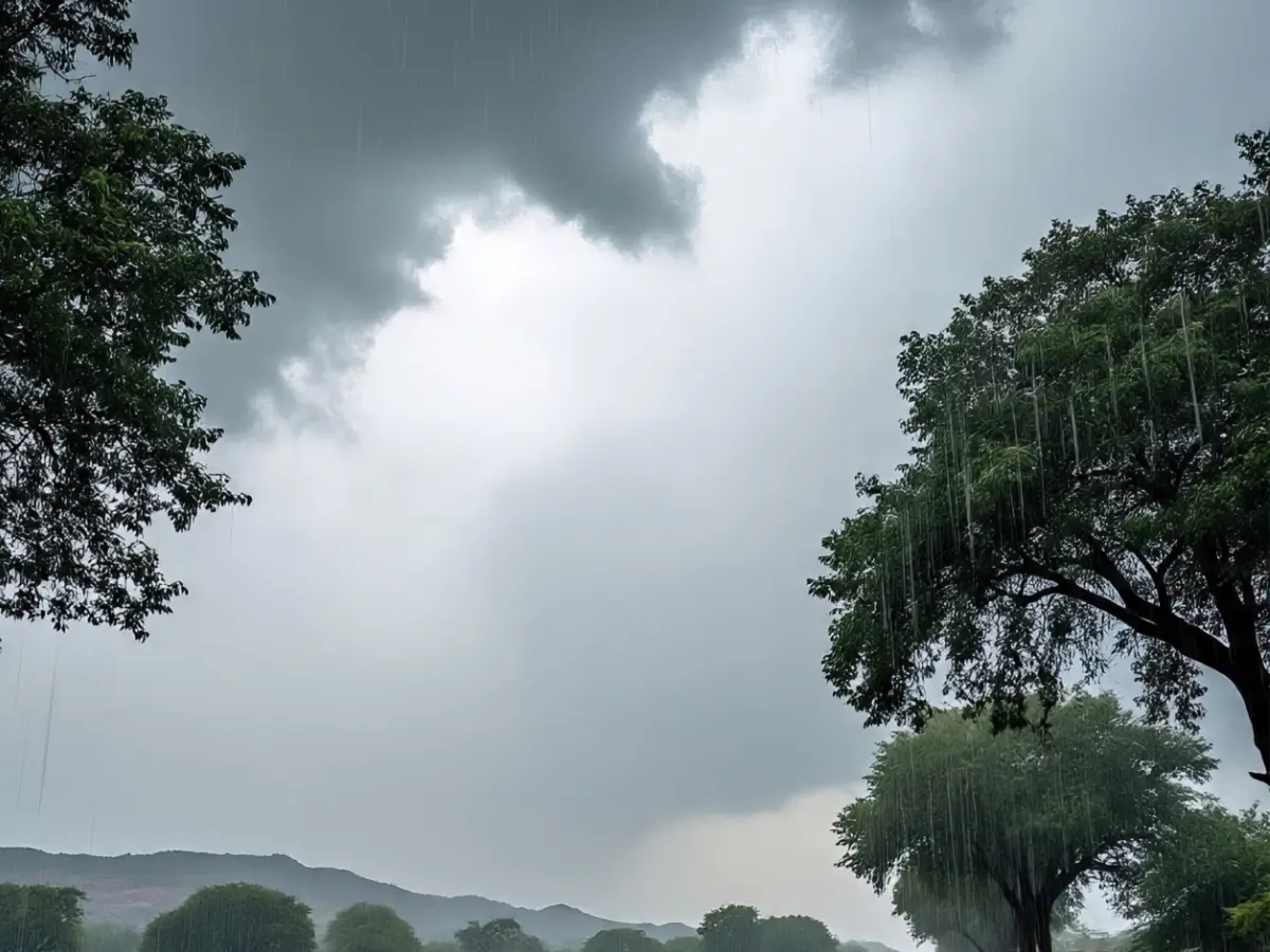 Rajasthan Weather Update