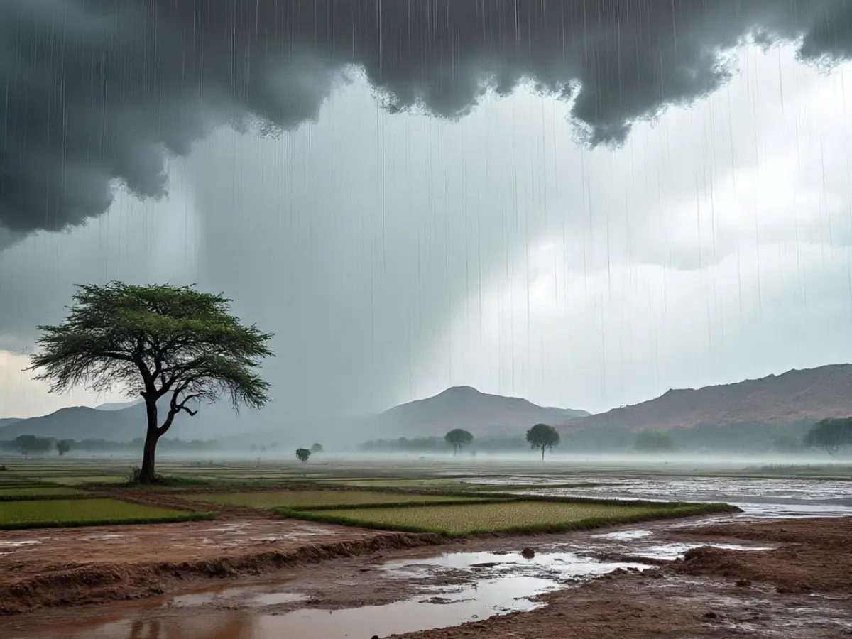 Rajasthan Weather