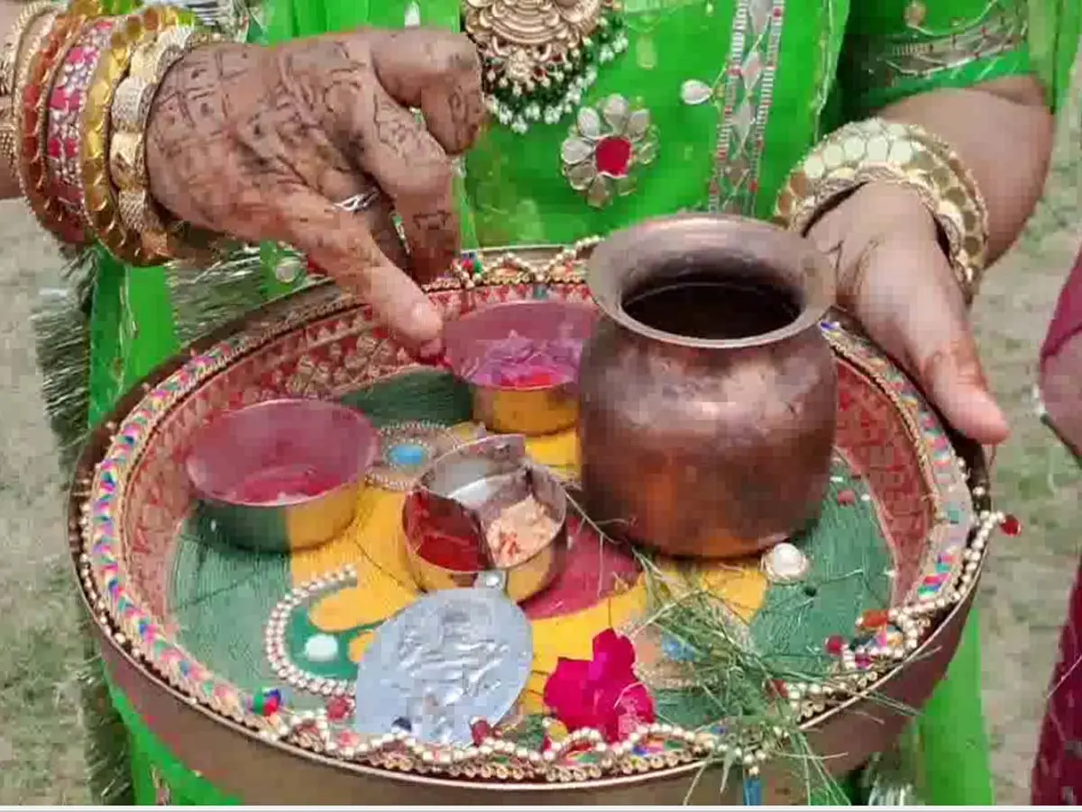 सीकर में 8 साल से पेड़ों को राखी बांध रही राजस्थानी बहन, वजह भी है अनूठी