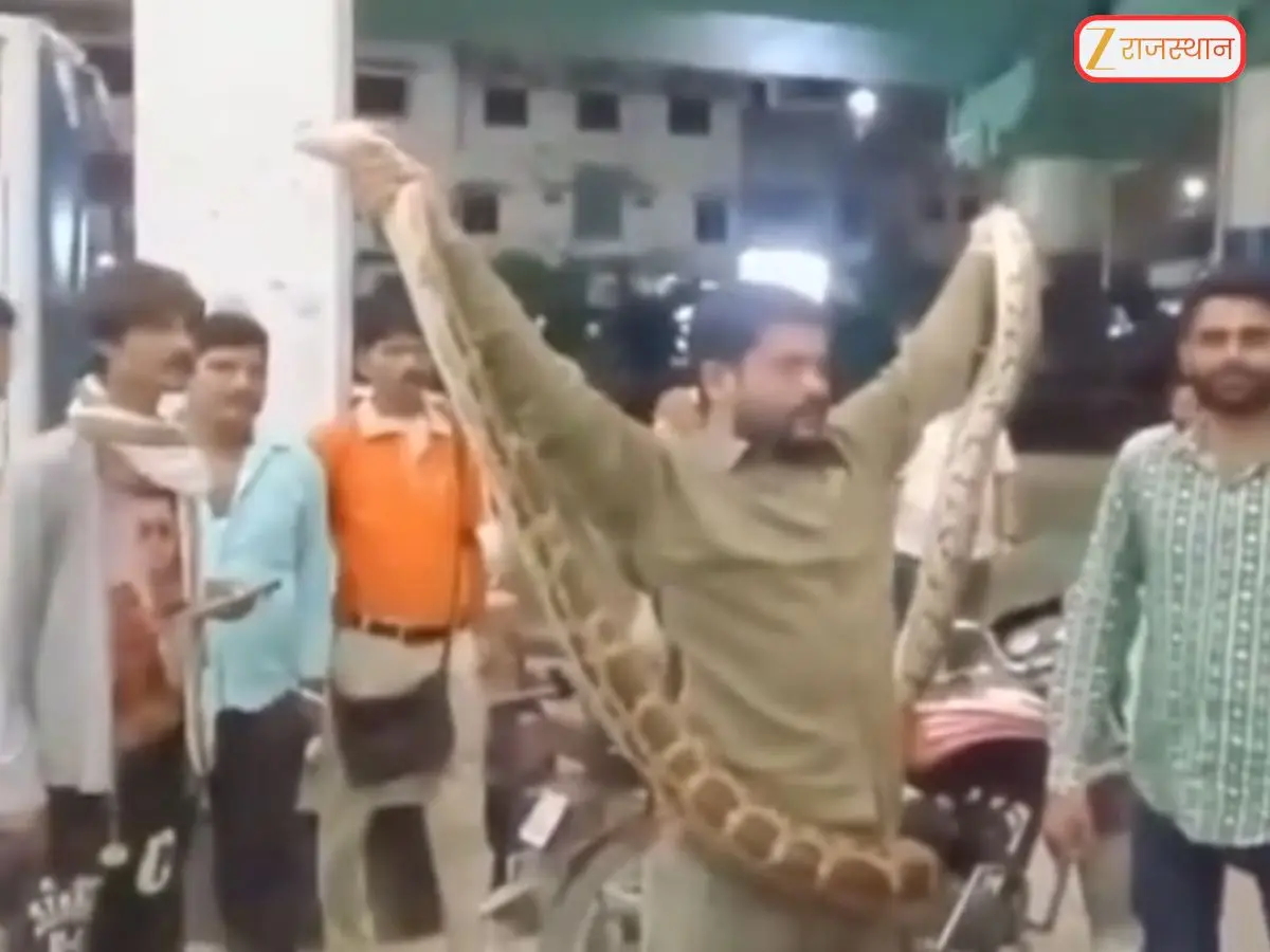 Rajasthan Video: नाथद्वारा में 10 फीट लंबा अजगर निकलने से मचा हड़कंप Watch Video