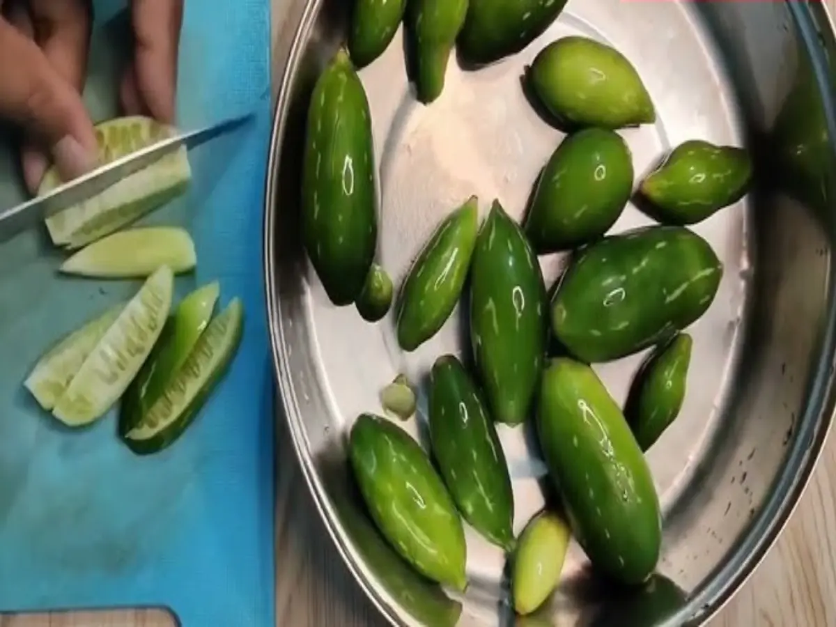 कुंदरू की तैयारी