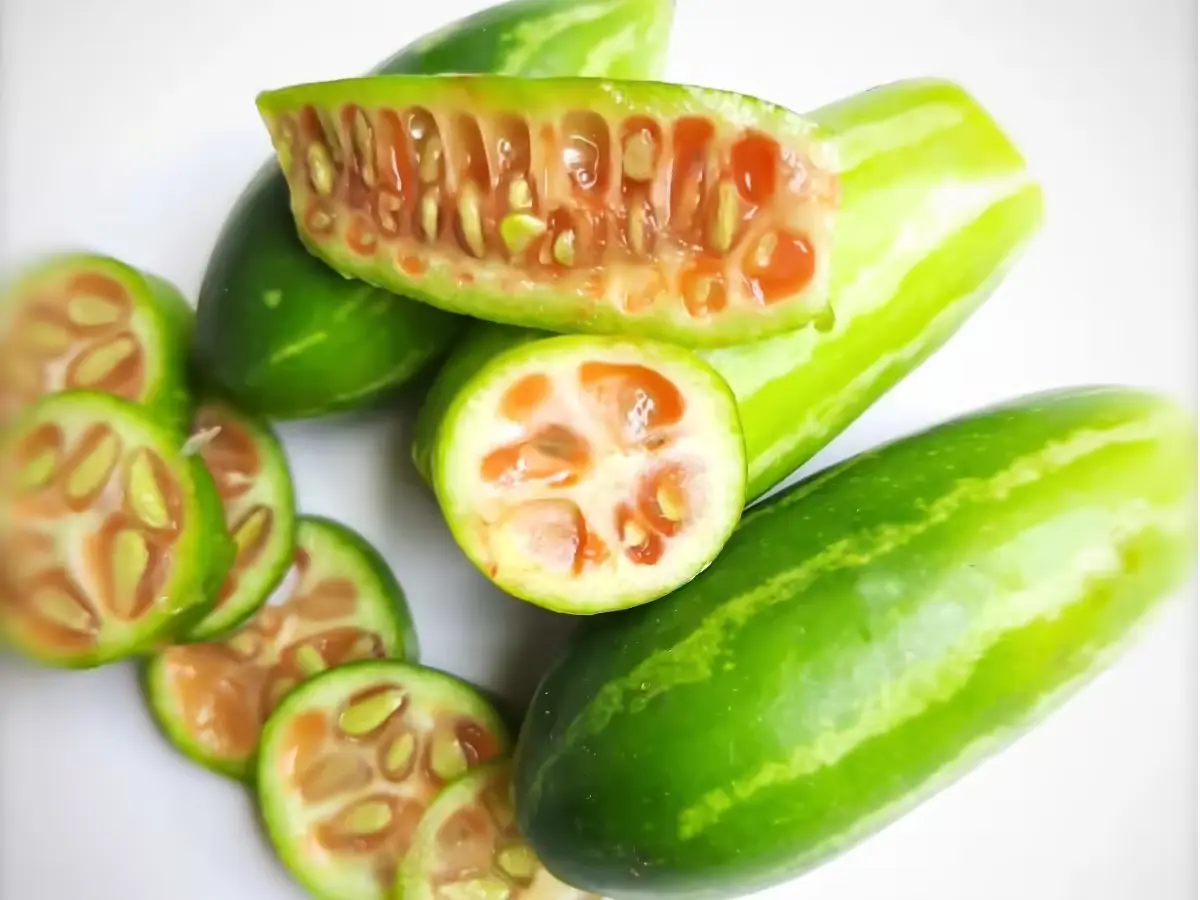 कुछ टिप्स