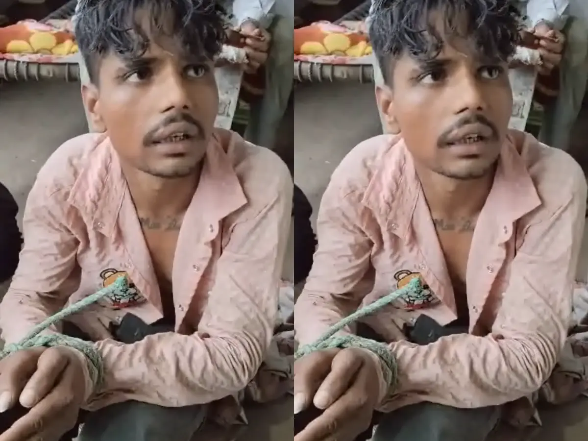 Alwar News: अलवर में आधी रात का हाई वोल्टेज ड्रामा! चोर के हाथ-पैर बांधकर किया कैद, वीडियो वायरल Alwar News: अलवर में आधी रात का हाई वोल्टेज ड्रामा! चोर के हाथ-पैर बांधकर किया कैद, वीडियो वायरल