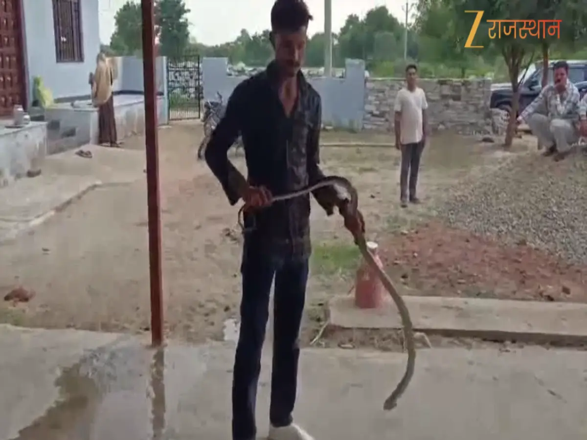 Snake Viral Video: 7 फीट लंबा सांप देखकर परिवार वालों के उड़े होश! देखें वीडियो
