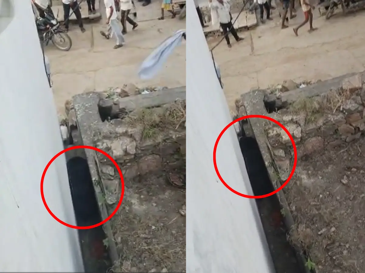 गांव में भालुओं को देख लोगों में मची भगदड़, देखें वीडियो