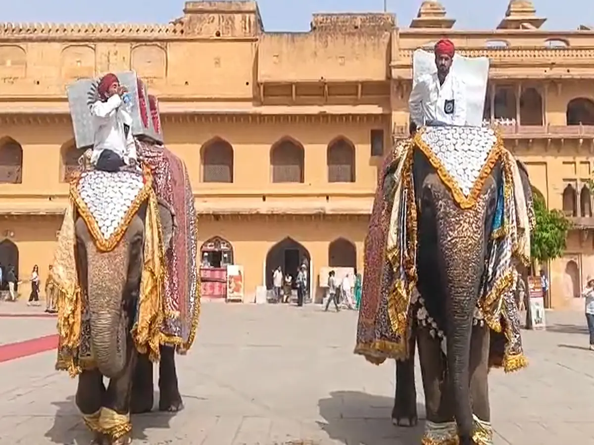 Jaipur News: आमेर महल में हथियों की सवारी कर रही आकर्षित, 7 साल में 2 लाख से ज्यादा रोटेशन Jaipur News: आमेर महल में हथियों की सवारी कर रही आकर्षित, 7 साल में 2 लाख से ज्यादा रोटेशन