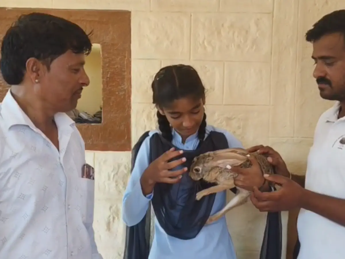 Jaisalmer: खरगोश के बच्चे को बनाया छोटा 'भाई', 1 साल पहले मां की हो गई थी मौत