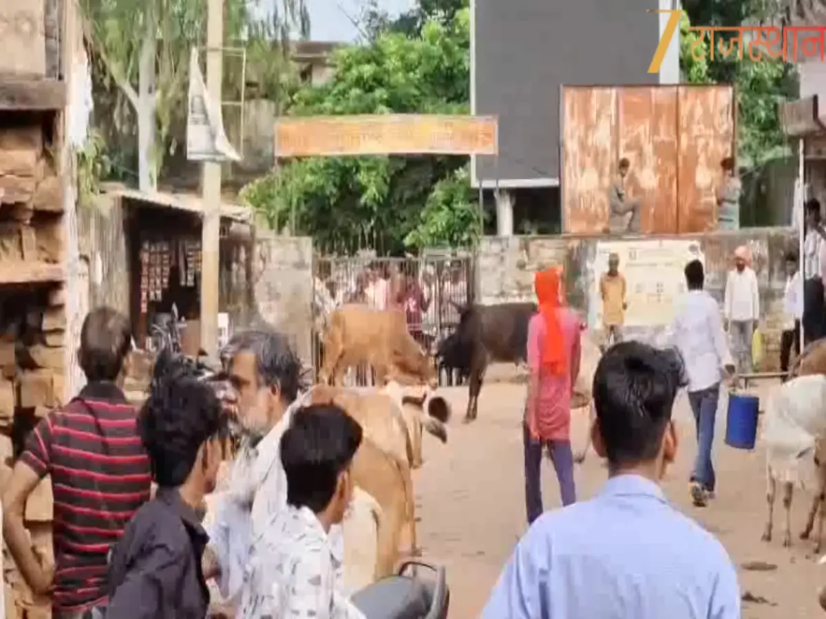 Bull Fight Video: करौली में कोर्ट के सामने सड़क गोवंशों में हुई WWE! देखें वायरल वीडियो