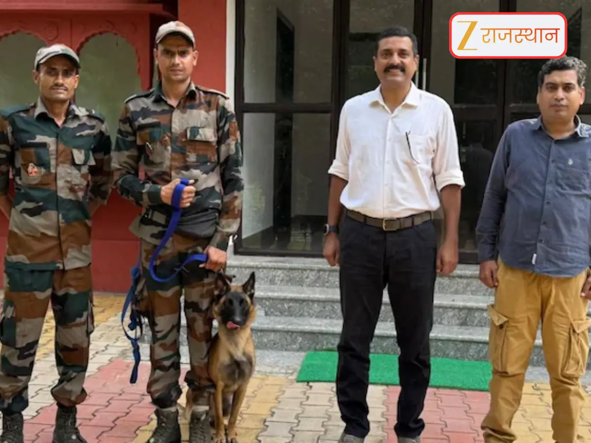 Sawai Madhopur News: बाघों की सुरक्षा करेंगे स्निफर डॉग, एक कोने से लेकर दूसरे कोने तक रहेगी निगरानी, तैनात हो रहा स्क्वायड... Sawai Madhopur News: बाघों की सुरक्षा करेंगे स्निफर डॉग, एक कोने से लेकर दूसरे कोने तक रहेगी निगरानी, तैनात हो रहा स्क्वायड...