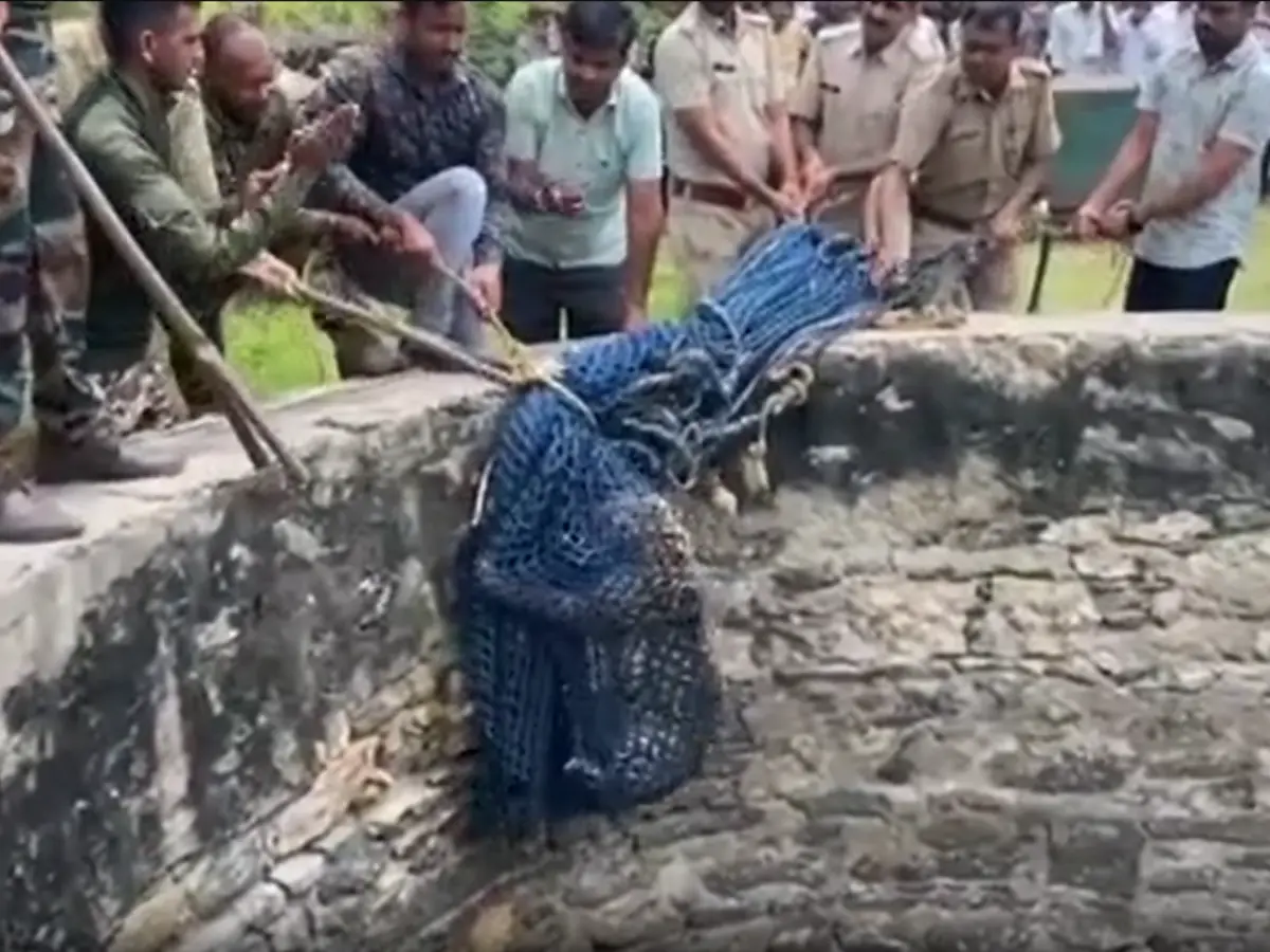 कुएं में जा गिरा शिकार के चक्कर में निकला पैंथर, रेस्क्यू टीम ने कड़ी मशक्कत के बाद निकाला बाहर