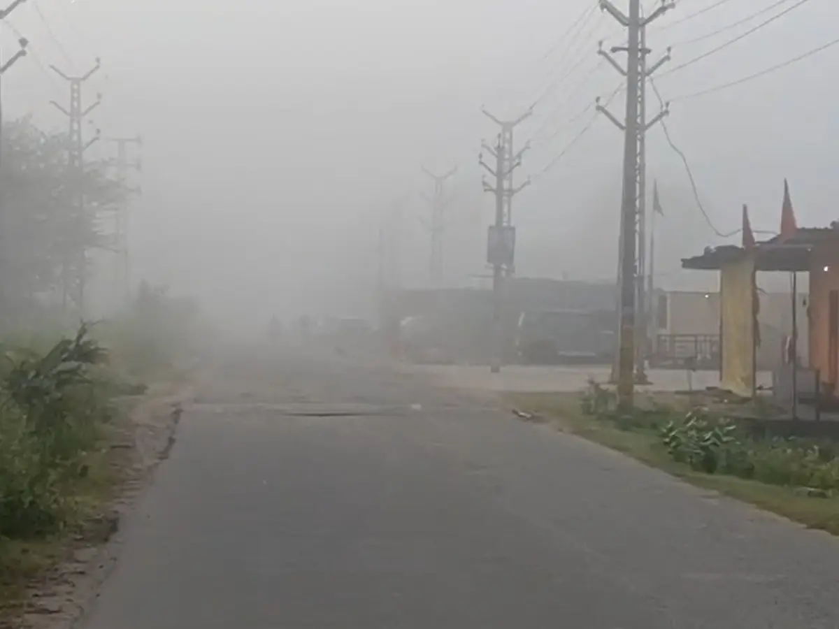 sikar-me-august-me-kohra