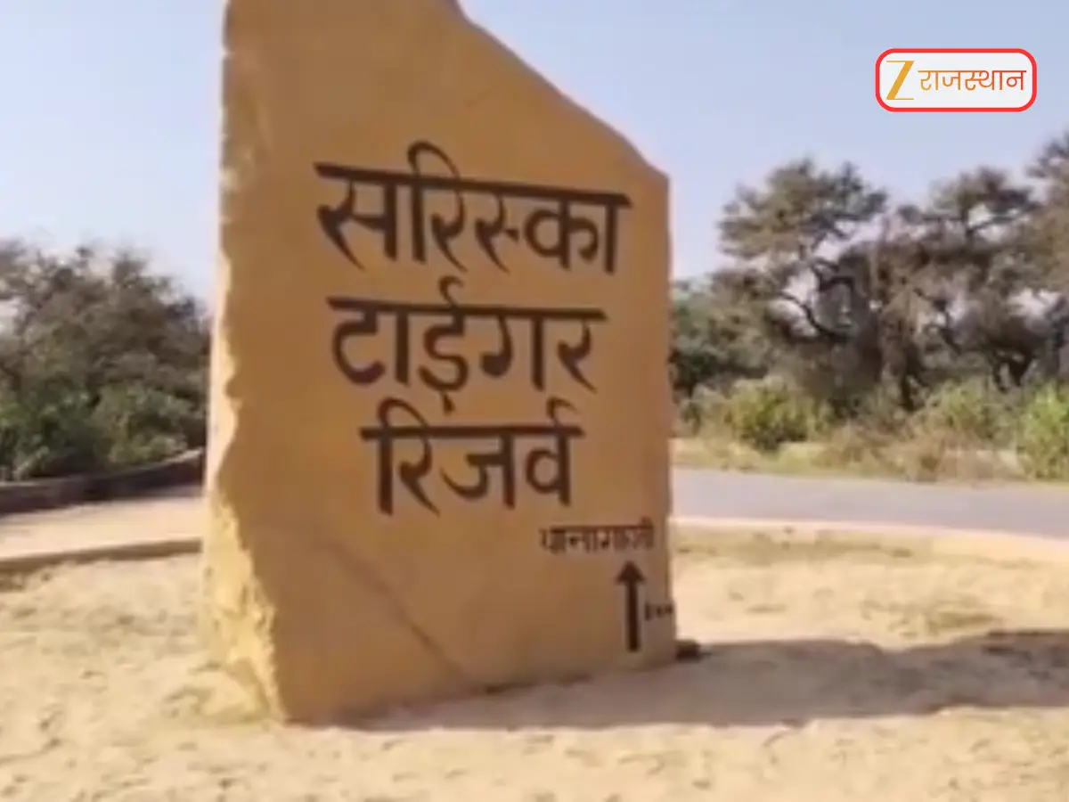Alwar News: सरिस्का में क्रिटिकल टाइगर हैबिटेट का क्षेत्र बढ़ा, कोई कमी नहीं