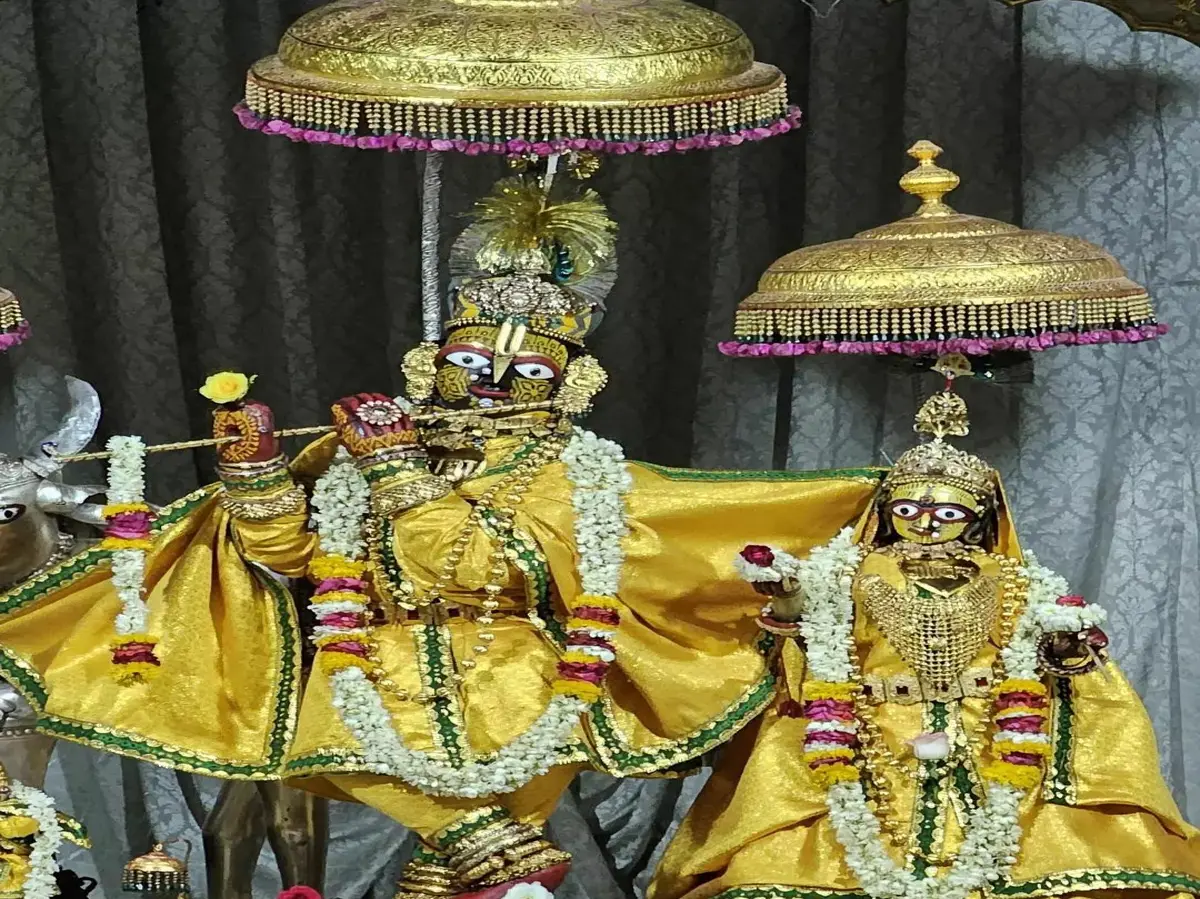 Rajasthan News Live: माउंटआबू में पेट्रोल-डीजल खत्म! पंप पर लगी वाहनों की लंबी कतारें Rajasthan News Live: माउंटआबू में पेट्रोल-डीजल खत्म! पंप पर लगी वाहनों की लंबी कतारें