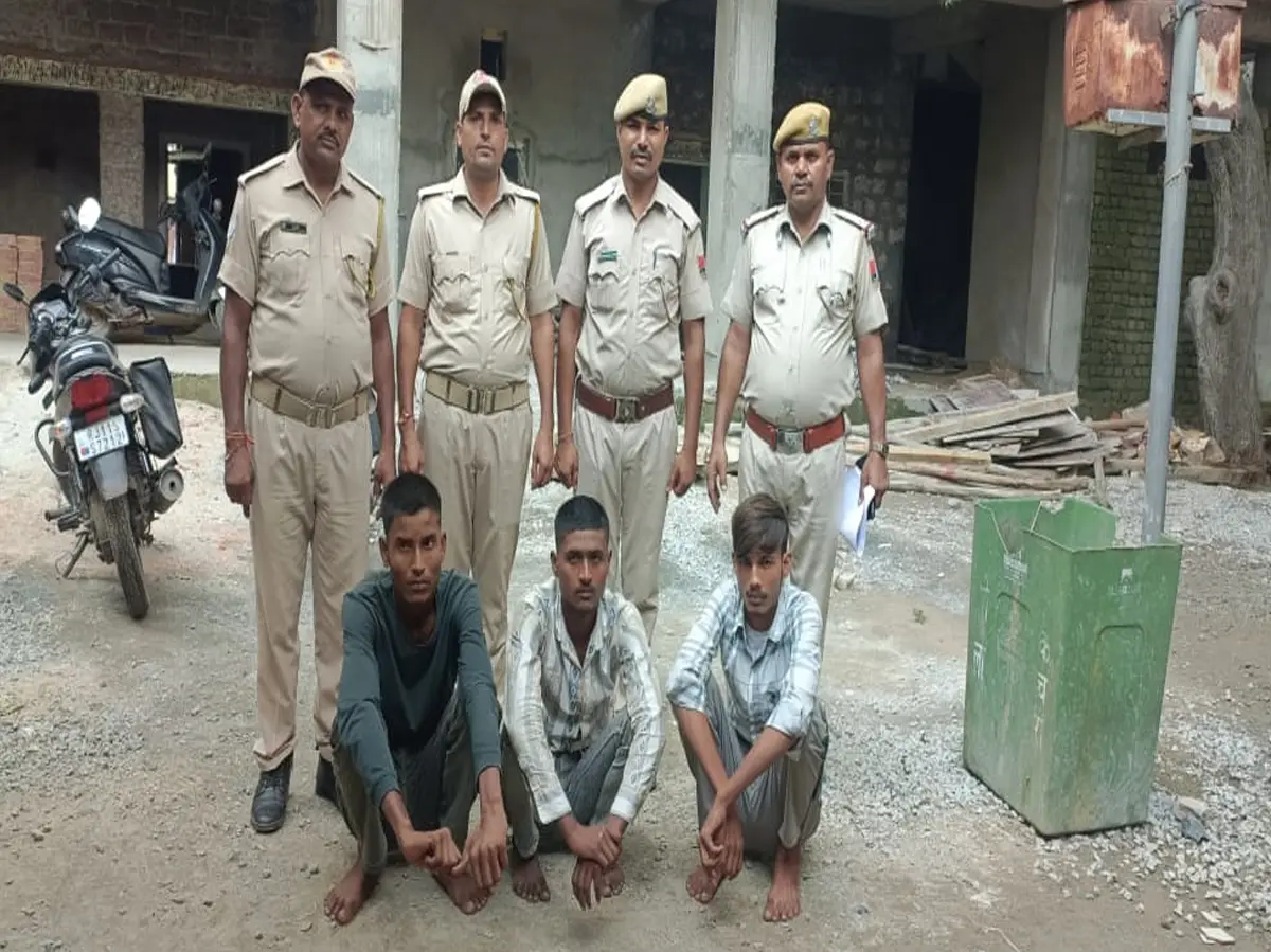 Dholpur News: घर में घुसकर चोरी करने वाले 3 बदमाश अरेस्ट, ऐसे हुआ पर्दाफाश Dholpur News: घर में घुसकर चोरी करने वाले 3 बदमाश अरेस्ट, ऐसे हुआ पर्दाफाश