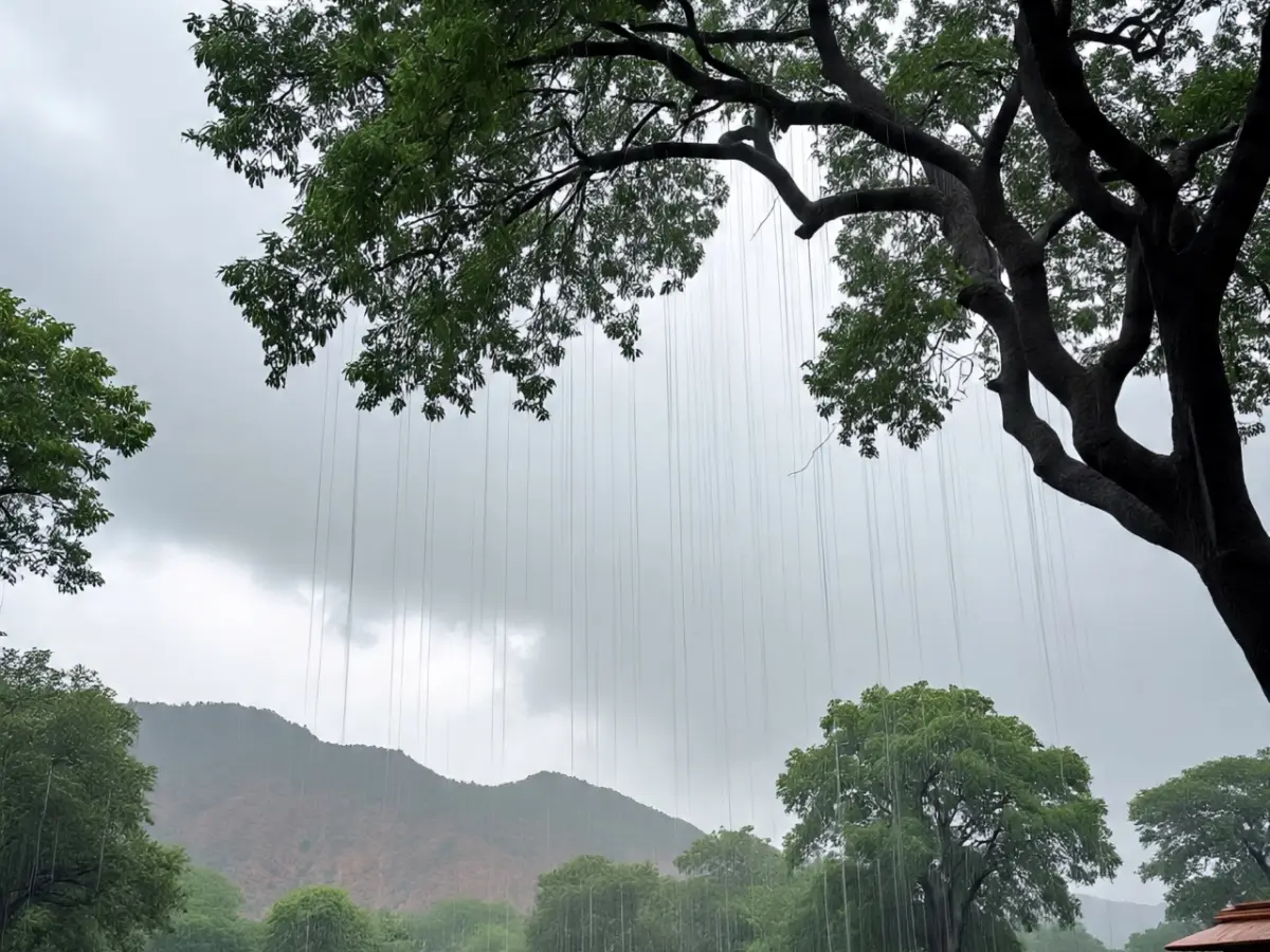 Rajasthan Weather Update