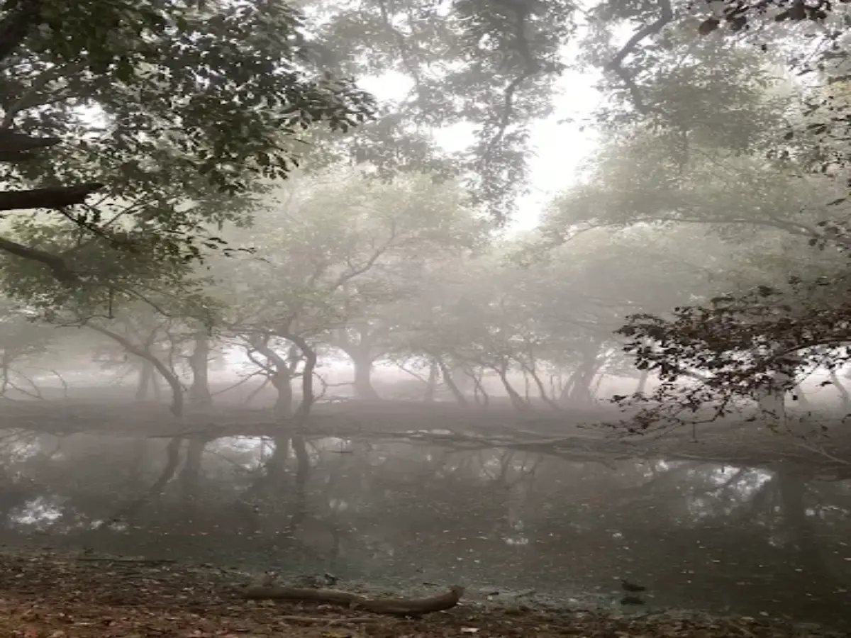 केवलादेव राष्ट्रीय उद्यान