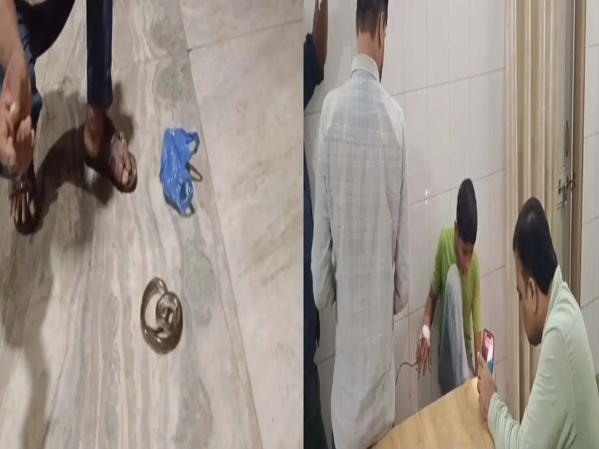 Banswara News : पोते को सांप ने काटा, दादा सांप को मारकर पॉलिथीन लेकर पहुंचा अस्पताल