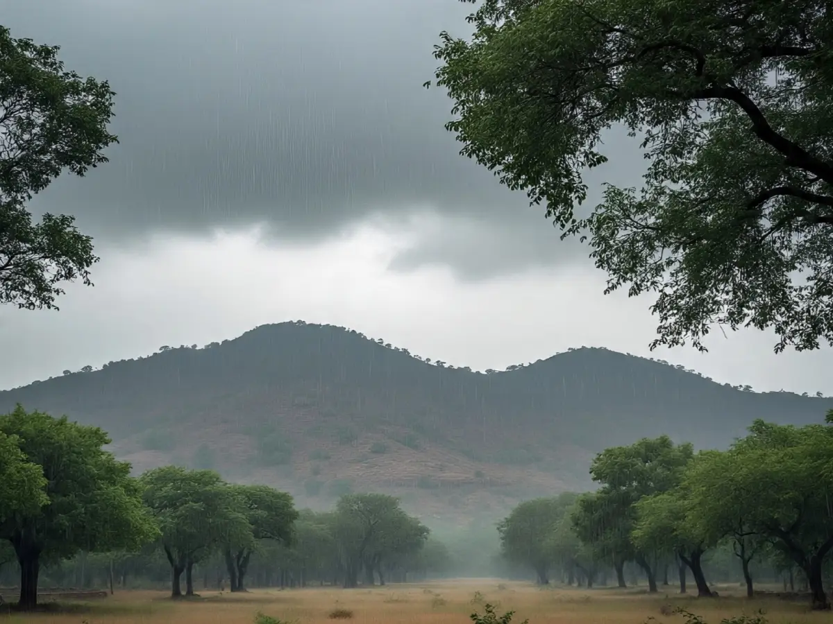 तापमान और नमी