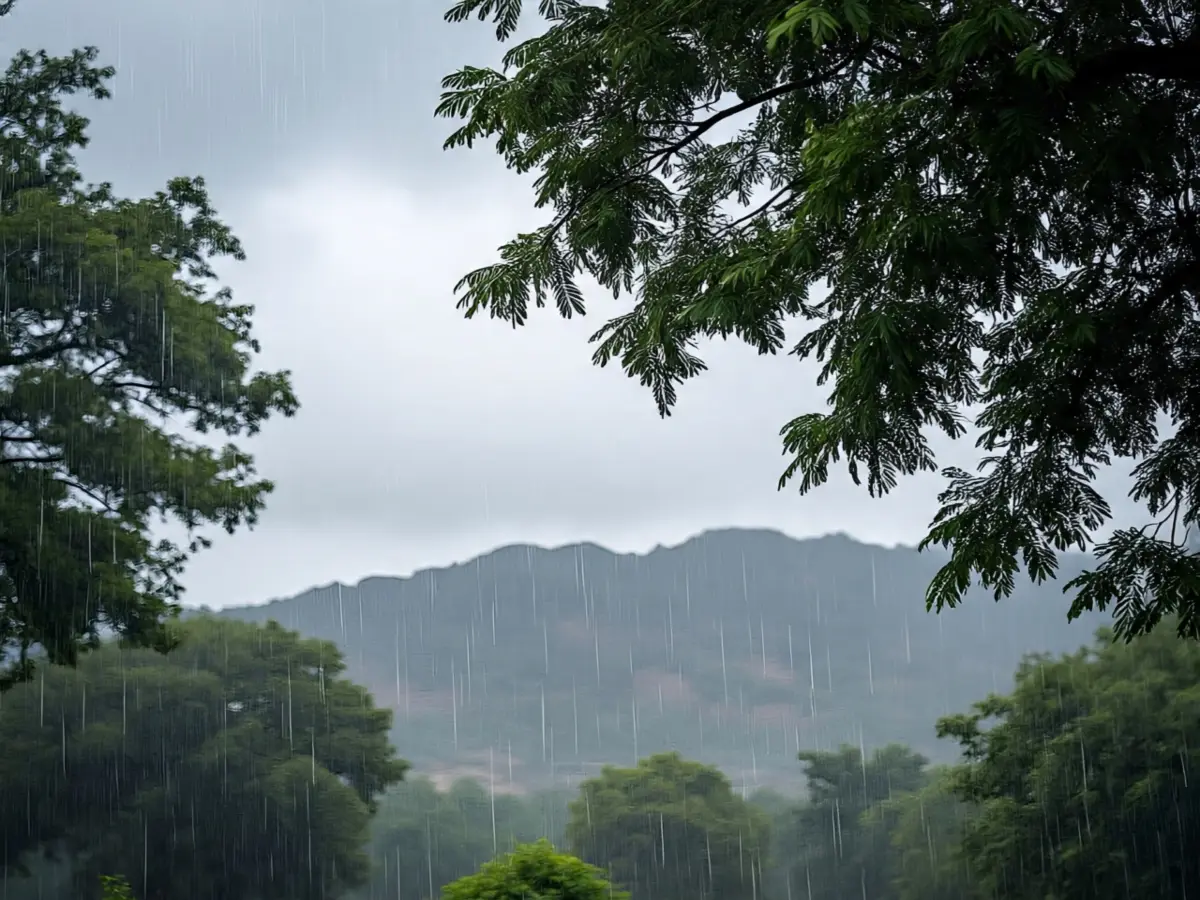 वायु गुणवत्ता