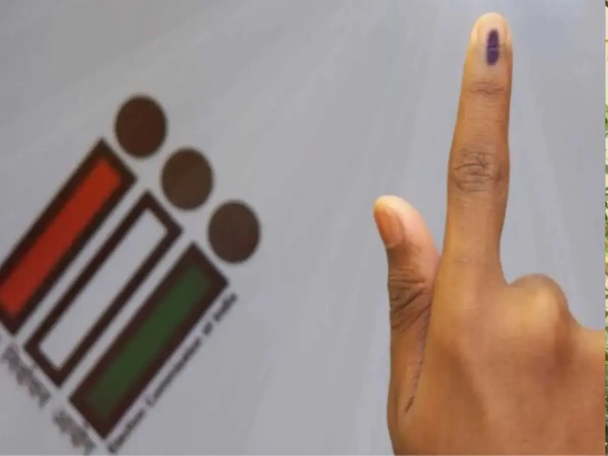 Rajasthan Panchayati Election:  BJP, कांग्रेस और BAP में तगड़ी टक्कर, कौन मारेगा बाजी?
