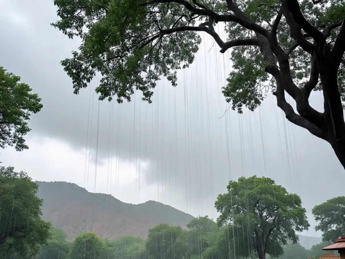 Rajasthan Weather Update