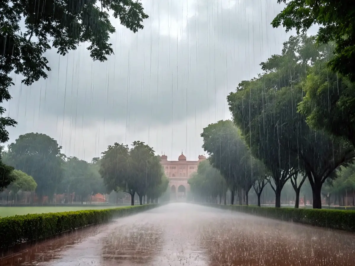 बारिश और फुहारें